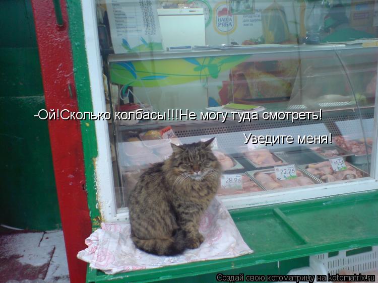 -Ой!Сколько колбасы!!!Не могу туда смотреть! Уведите меня!... Котоматрица: -Ой!Сколько колбасы!!!Не могу туда смотреть! Уведите меня!