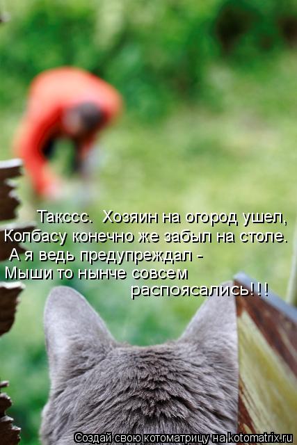 Котоматрица: Такссс…  Хозяин на огород ушел, Мыши то нынче совсем  Колбасу конечно же забыл на столе… распоясались!!! А я ведь предупреждал -