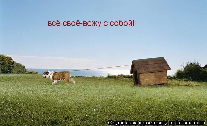всё своё-вожу с собой!... Котоматрица: всё своё-вожу с собой!