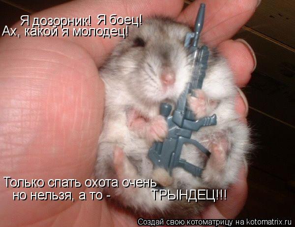 Я дозорник! Я боец! Ах, какой я молодец! Только спать охота очень но нельзя, а то - ТРЫНДЕЦ... Котоматрица: Я дозорник! Я боец! Ах, какой я молодец! Только спать охота очень но нельзя, а то - ТРЫНДЕЦ!!!