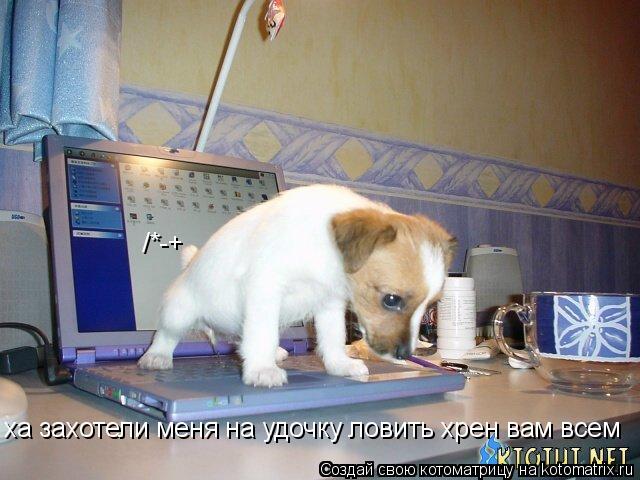 ха захотели меня на удочку ловить хрен вам всем /*-+... Котоматрица: ха захотели меня на удочку ловить хрен вам всем /*-+