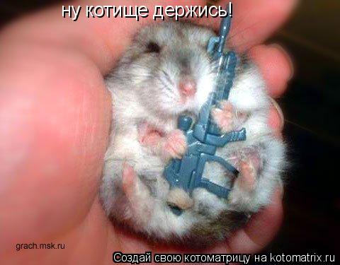ну котище держись!... Котоматрица: ну котище держись!
