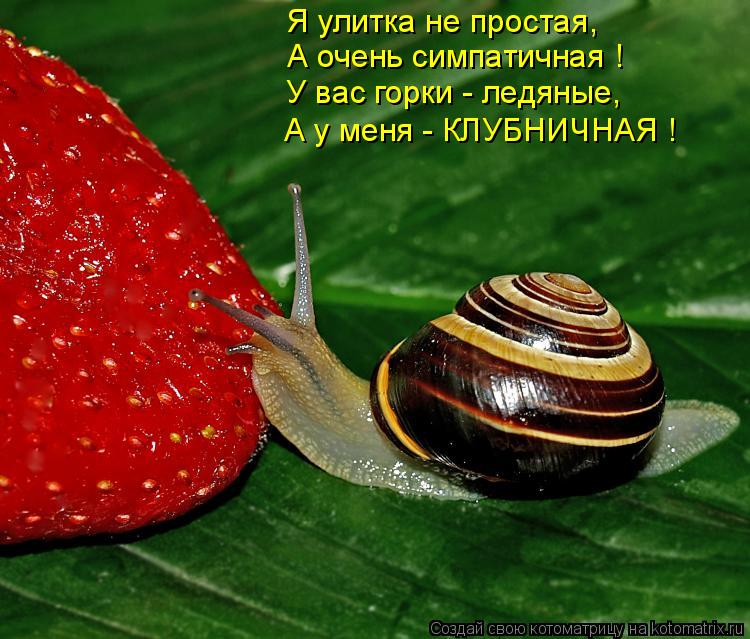 Котоматрица: Я улитка не простая,  А очень симпатичная ! У вас горки - ледяные, А у меня - КЛУБНИЧНАЯ !