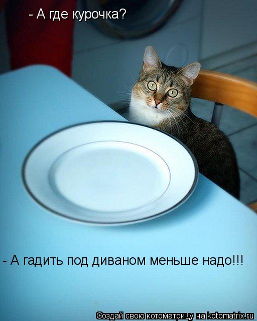 Котоматрица: - А где курочка?  - А гадить под диваном меньше надо!!!