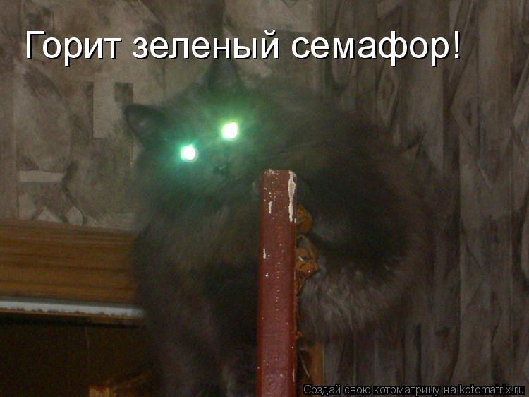 Котоматрица: Горит зеленый семафор!