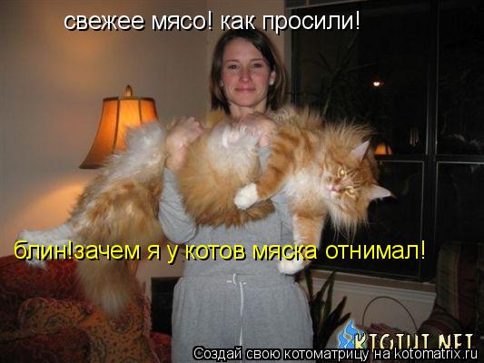 Котоматрица: свежее мясо! как просили! блин!зачем я у котов мяска отнимал!
