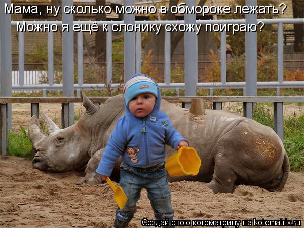 Мама, ну сколько можно в обмороке лежать? Можно я ещё к слонику схожу поиграю?... Котоматрица: Мама, ну сколько можно в обмороке лежать? Можно я ещё к слонику схожу поиграю?