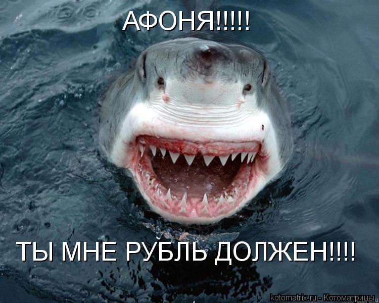Котоматрица: АФОНЯ!!!!! ТЫ МНЕ РУБЛЬ ДОЛЖЕН!!!!