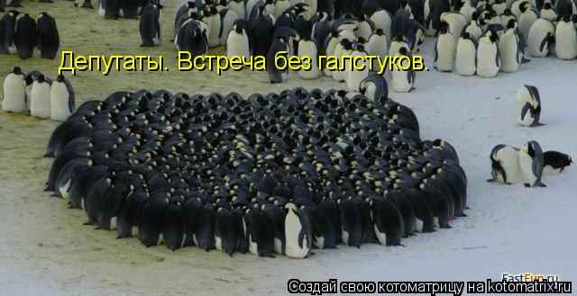 Котоматрица: Депутаты. Встреча без галстуков.