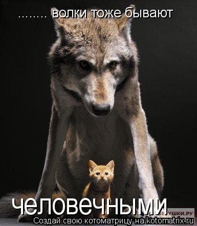 Котоматрица: ........ волки тоже бывают  человечными