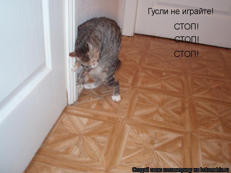 Котоматрица: Гусли не играйте! СТОП! СТОП! СТОП!