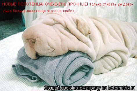 Котоматрица: льно больно-полотенце этого не любит... НОВЫЕ ПОЛОТЕНЦА! ОЧЕ-Е-ЕНЬ ПРОЧНЫЕ! только стирать уж дово-