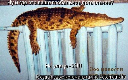 Котоматрица: Ну и где это ваше глобальное потепление? На улице -30!!!