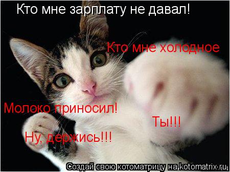 Котоматрица: Кто мне зарплату не давал! Кто мне холодное  Молоко приносил! Ты!!! Ну, держись!!!