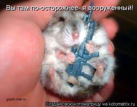 Котоматрица: Вы там по-осторожнее- я вооруженный!