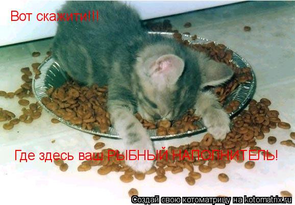 Котоматрица: Вот скажити!!! Где здесь ваш РЫБНЫЙ НАПОЛНИТЕЛЬ!