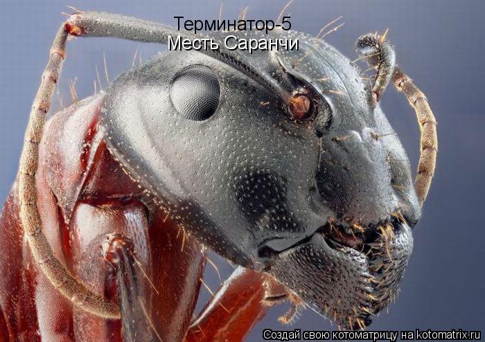 Котоматрица: Терминатор-5 Месть Саранчи