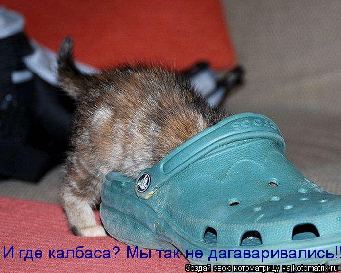 Котоматрица: И где калбаса? Мы так не дагаваривались!!!
