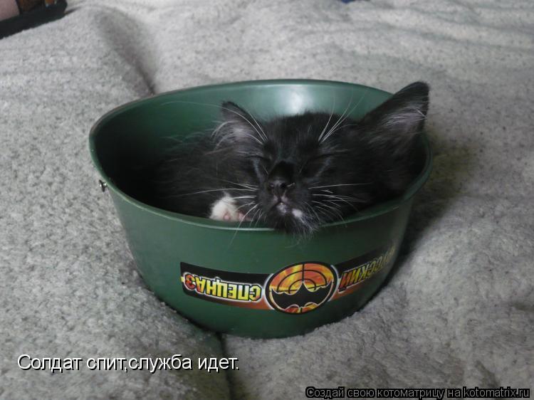 Котоматрица: Солдат спит,служба идет.