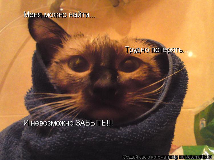Котоматрица: Меня можно найти... Трудно потерять... И невозможно ЗАБЫТЬ!!!
