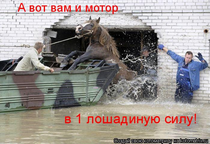 Котоматрица: А вот вам и мотор в 1 лошадиную силу!