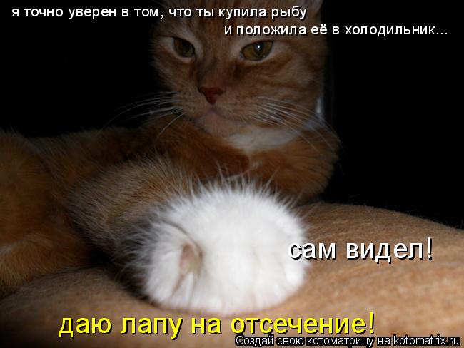 Котоматрица: я точно уверен в том, что ты купила рыбу и положила её в холодильник... сам видел! даю лапу на отсечение!