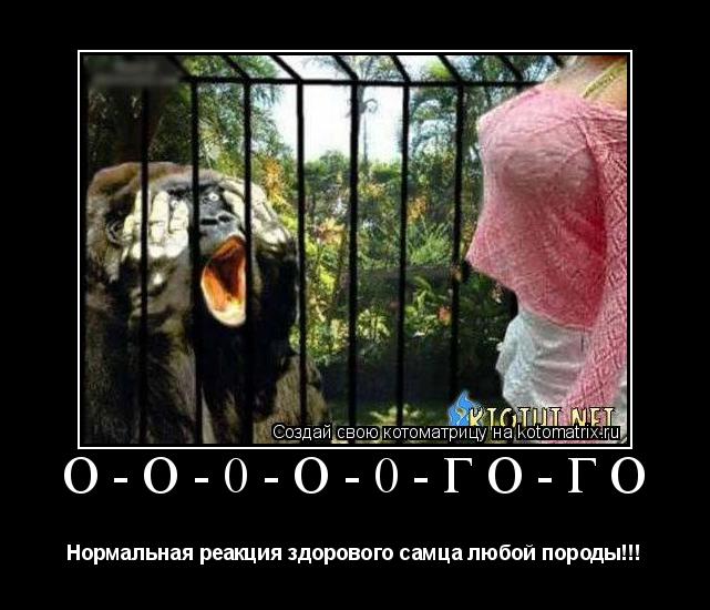 О-О-0-О-0-ГО-ГО Нормальная реакция здорового самца любой породы!!!... Котоматрица: О-О-0-О-0-ГО-ГО Нормальная реакция здорового самца любой породы!!!