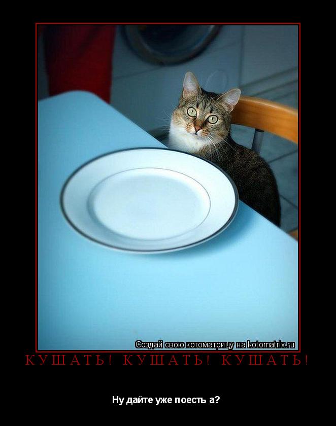 КУшать! Кушать! Кушать! Ну дайте уже поесть а? ... Котоматрица: КУшать! Кушать! Кушать! Ну дайте уже поесть а?