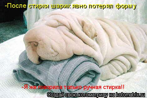 Котоматрица: -После стирки шарик явно потерял форму -Я же говорила только ручная стирка!!