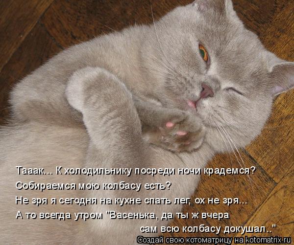 Котоматрица: Тааак... К холодильнику посреди ночи крадемся? Собираемся мою колбасу есть? Не зря я сегодня на кухне спать лег, ох не зря... А то всегда утром "