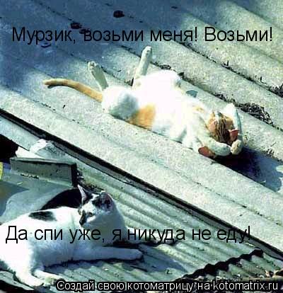 Котоматрица: Мурзик, возьми меня! Возьми!  Да спи уже, я никуда не еду!