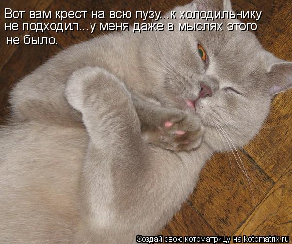 Вот вам крест на всю пузу...к холодильнику не подходил...у меня даже в мыслях этого не было.... Котоматрица: Вот вам крест на всю пузу...к холодильнику не подходил...у меня даже в мыслях этого не было.
