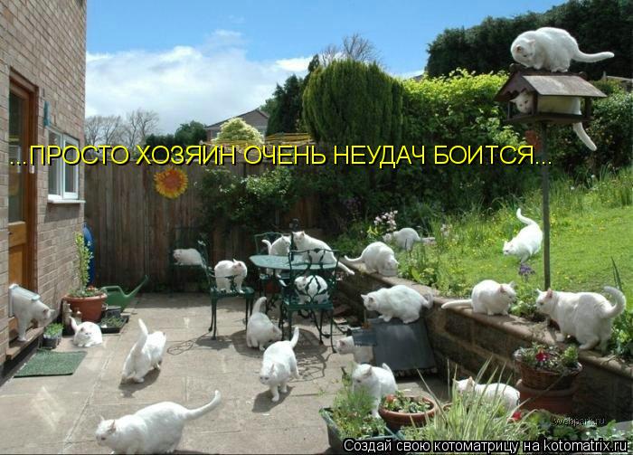 Котоматрица: ...ПРОСТО ХОЗЯИН ОЧЕНЬ НЕУДАЧ БОИТСЯ...