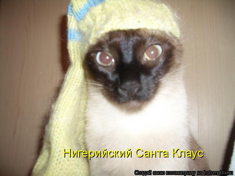 Нигерийский Санта Клаус... Котоматрица: Нигерийский Санта Клаус