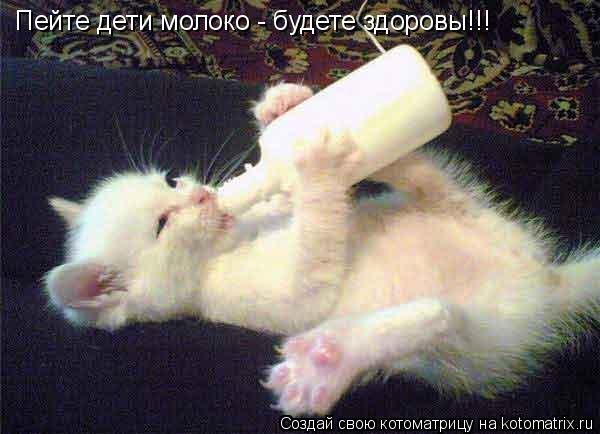 Пейте дети молоко - будете здоровы!!!... Котоматрица: Пейте дети молоко - будете здоровы!!!