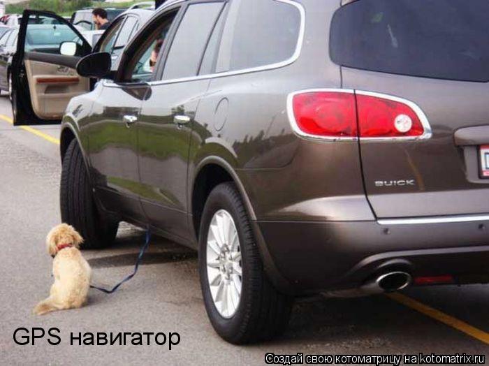 GPS навигатор... Котоматрица: GPS навигатор