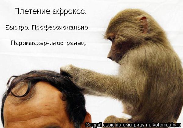 Плетение афрокос. Быстро. Профессионально. Парикмахер-иностранец.... Котоматрица: Плетение афрокос. Быстро. Профессионально. Парикмахер-иностранец.