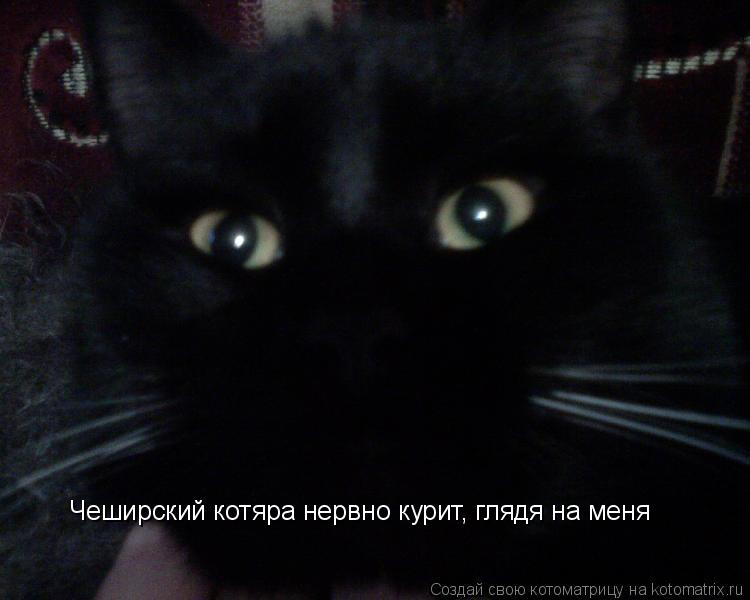 Чеширский котяра нервно курит, глядя на меня Чеширский котяра нервно курит, глядя на меня... Котоматрица: Чеширский котяра нервно курит, глядя на меня Чеширский котяра нервно курит, глядя на меня
