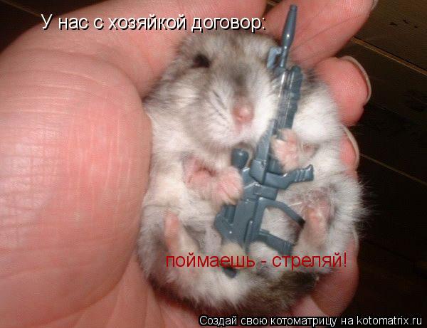 Котоматрица: У нас с хозяйкой договор:   поймаешь - стреляй!