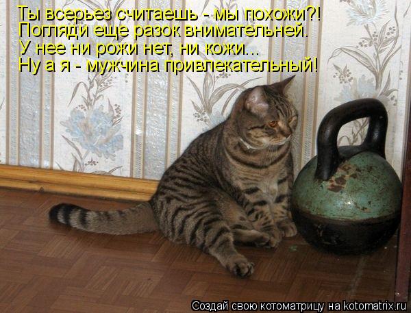 Котоматрица: Ты всерьез считаешь - мы похожи?! Погляди еще разок внимательней. У нее ни рожи нет, ни кожи... Ну а я - мужчина привлекательный!