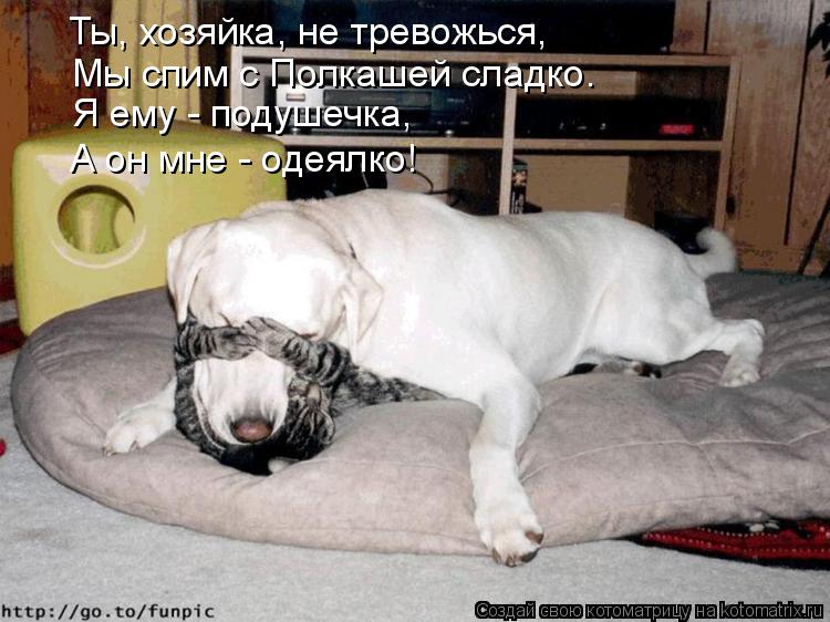 Ты, хозяйка, не тревожься, Мы спим с Полкашей сладко. Я ему - подушечка, А он мне - одеялко!... Котоматрица: Ты, хозяйка, не тревожься, Мы спим с Полкашей сладко. Я ему - подушечка, А он мне - одеялко!
