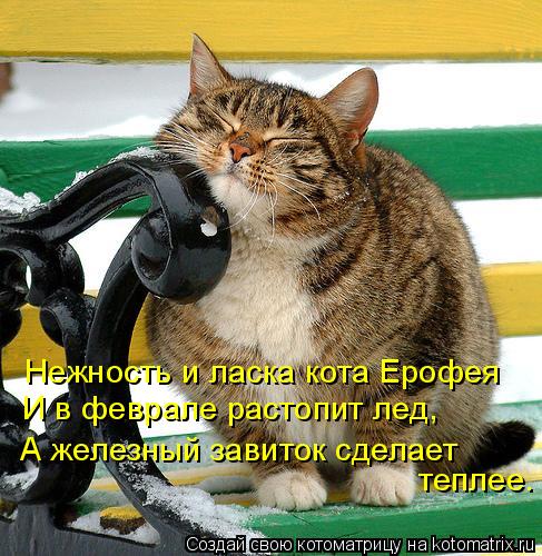 Нежность и ласка кота Ерофея И в феврале растопит лед, А железный завиток сделает теплее.... Котоматрица: Нежность и ласка кота Ерофея И в феврале растопит лед, А железный завиток сделает теплее.