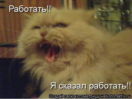 Работать!! Я сказал работать!!... Котоматрица: Работать!! Я сказал работать!!