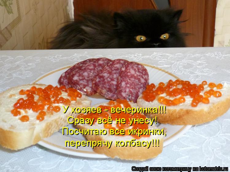 Котоматрица: У хозяев - вечеринка!!! Сразу всё не унесу! Посчитаю все икринки, перепрячу колбасу!!!