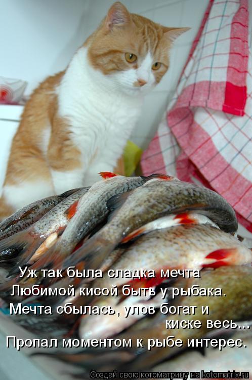 Уж так была сладка мечта Любимой кисой быть у рыбака. Мечта сбылась, улов богат и киске весь... Пропа... Котоматрица: Уж так была сладка мечта Любимой кисой быть у рыбака. Мечта сбылась, улов богат и киске весь... Пропал моментом к рыбе интерес.