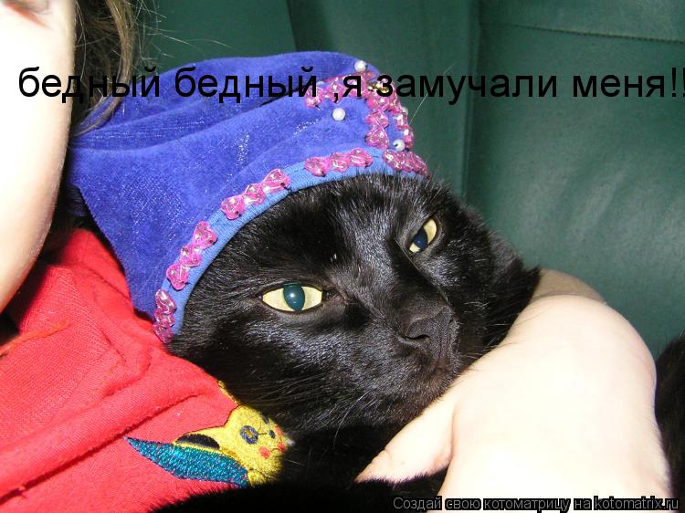 бедный бедный ,я замучали меня!!!... Котоматрица: бедный бедный ,я замучали меня!!!