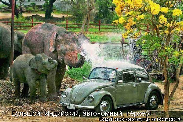Большой, Индийский, автономный, Кёрхер!... Котоматрица: Большой, Индийский, автономный, Кёрхер!