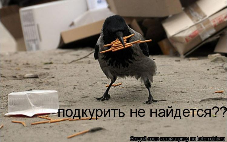 подкурить не найдется??... Котоматрица: подкурить не найдется??