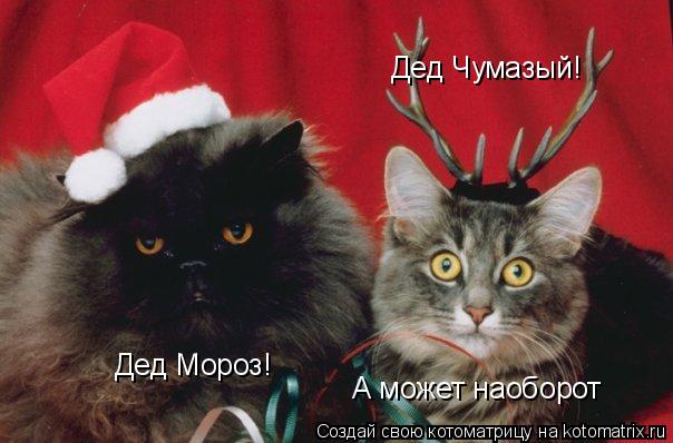Дед Мороз! Дед Чумазый! А может наоборот... Котоматрица: Дед Мороз! Дед Чумазый! А может наоборот