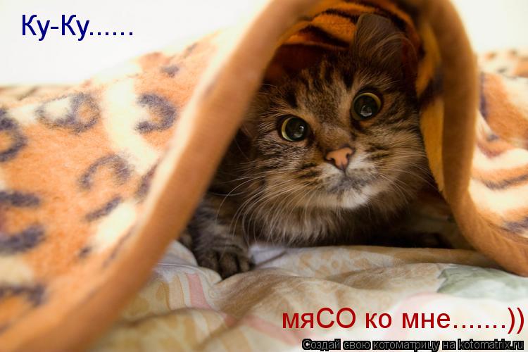 Ку-Ку...... мяСО ко мне.......))... Котоматрица: Ку-Ку...... мяСО ко мне.......))
